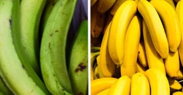 Bananas can be found in numerous family fruit baskets. Plantain and bananas look so much alike and can be confusing most times. Substituting a plantain for a banana in a meal will offer a very different taste.