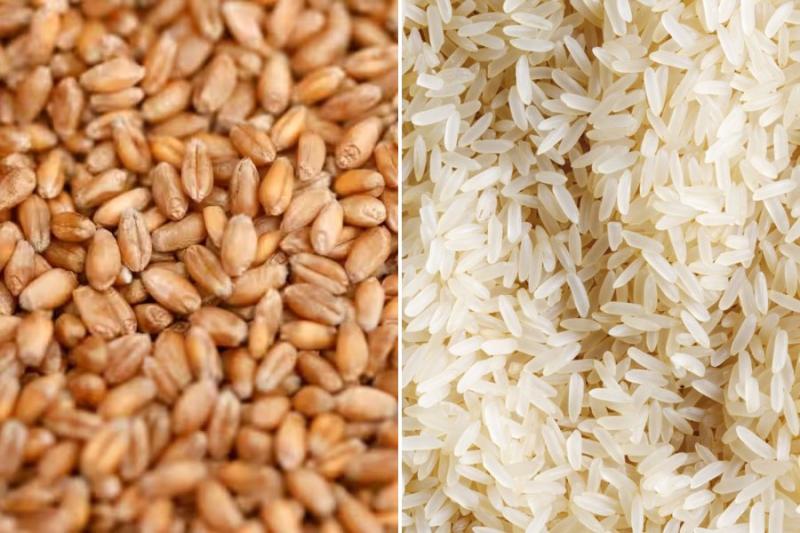 Difference Between Rice and Wheat