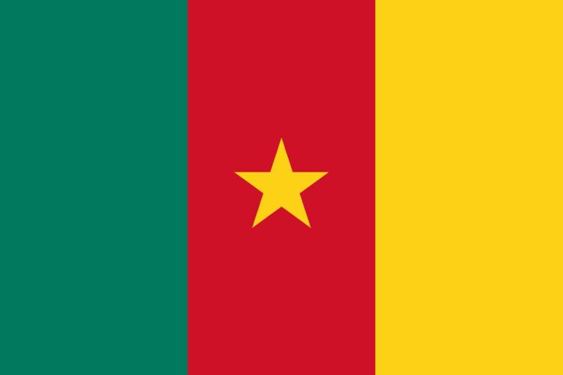 Flag of Cameroon