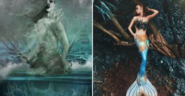 Difference Between Mermaid and Siren