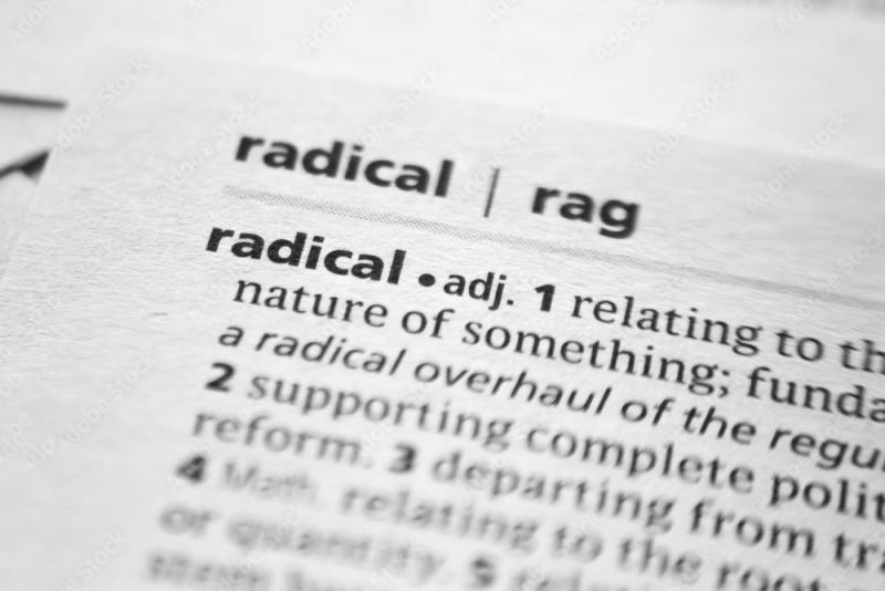 Difference Between Radical and Moderate