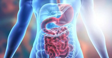 The primary difference between digestion and absorption indicates that digestion infringes foods into their formation block by mechanical and chemical procedures. In contrast, absorption is the incorporation of nutrients into the bloodstream. Foods that animals take in go via four primary techniques, which include ingestion, digestion, absorption, and excretion. Ingestion takes place first, which is then ensued by digestion, and lastly, the absorption of nutrients in digested foods occurs to produce energy. Digestion and absorption are both methods that occur in the alimentary tracts of an animal. These two techniques are various procedures. Hence, absorption can't happen without digestion. However, absorption always comes after digestion. Digestion stimulates the absorption of vital nutrients into our blood.