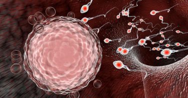 The significant difference between fertility and infertility indicates that fertility is the ability of an organism to create progeny using natural situations. In contrast, infertility is the incapability of an organism to reproduce via natural procedures and create progeny. Reproduction is an essential factor for the continuity of a population. Therefore, it is a necessary characteristic of every existing organism. Reproduction takes place in two methods, and these include sexual and asexual reproduction. So many creatures, which as well have humans perform sexual reproduction. It is a procedure in which two gametes, one from a male and the other from a female, link to create a zygote, which later evolves into an organism. The conquest of the above process lies in the fertility of the two persons, the male, and the female organisms.