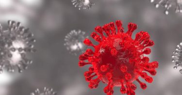 The significant difference between delta and micron shows that delta triggers more intense signs in patients while micron triggers decreased extreme symptoms. The SARS-Cov-2 virus, described as intense acute respiratory syndrome coronavirus 2, is a strain of coronavirus that triggers covid19 ailment. It is accountable for respiratory disease and also the covid 19 pandemic.