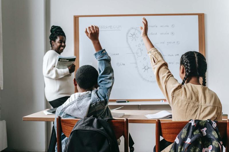 Whiteboards and bulletin boards have different uses, mostly in schools, companies, and community centers. A whiteboard is a glossy, typically white, non-permanent writing surface. It is primarily utilized as an interactive instrument for collaboration, teaching, brainstorming, and dynamic information presentation. It uses erasable markers, allowing for instantaneous alterations. Whiteboard information is temporary and intended for immediate communication.