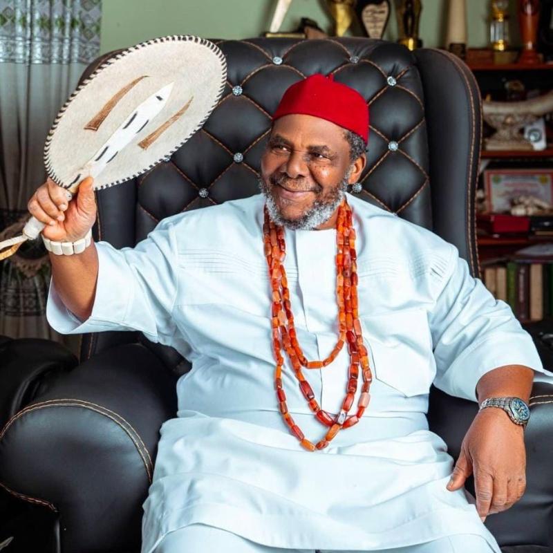 Pete Edochie is from Nigeria, and he is an actor. He was born on March 7th, 1947. Peter Edochie is widely recognized as one of the most outstanding performers to come out of Africa.