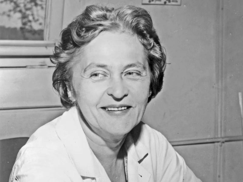 Maria Telkes immigrated from Hungary to the United States, where she worked as a biophysicist and inventor of solar energy systems.