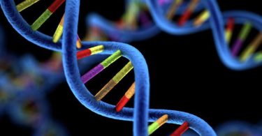 The significant difference between structural and functional genomics indicates that structural genomics is the research of the biological nature of genomes, which involves the ordering and mapping genomes. In contrast, functional genomics is the research of the manifestation and procedures of the genome. Genomics is an area of biology that has to do with the formation, organization, process, development, and mapping of genomes of existing organisms.