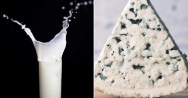 Although cheese and milk have the same source, they have some discrepancies, such as the flavour, how it is prepared, their nutritional facts, and their nature.