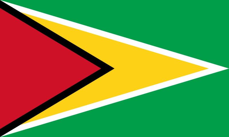 Flag of Guyana