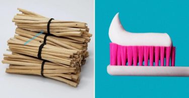 Difference Between Toothpick and Toothbrush