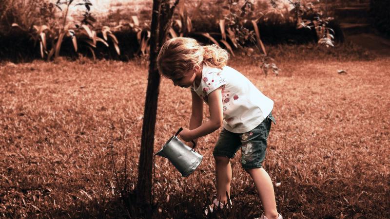 The significant difference between nature and nurture shows that nature relies on genetics while nurture relies on the period spent learning skills. Nature and nurture are two words utilized in behavioural psychology. Nature is described as an inherent factor. An individual is birthed with specific skills and traits.